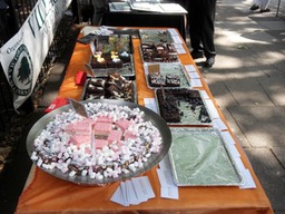 Stef's Brownies Victoria Park Village Fete